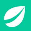 trader logoBitfinex