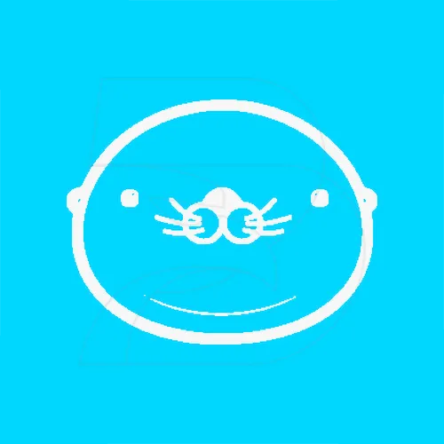 Option Pool