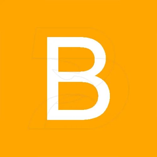 BigBank