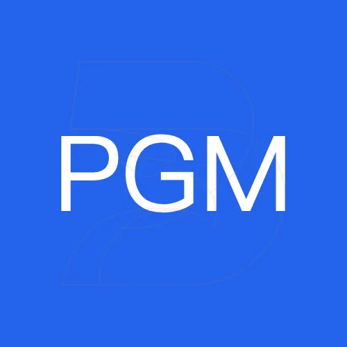 Platinum Global Market